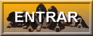 entrar